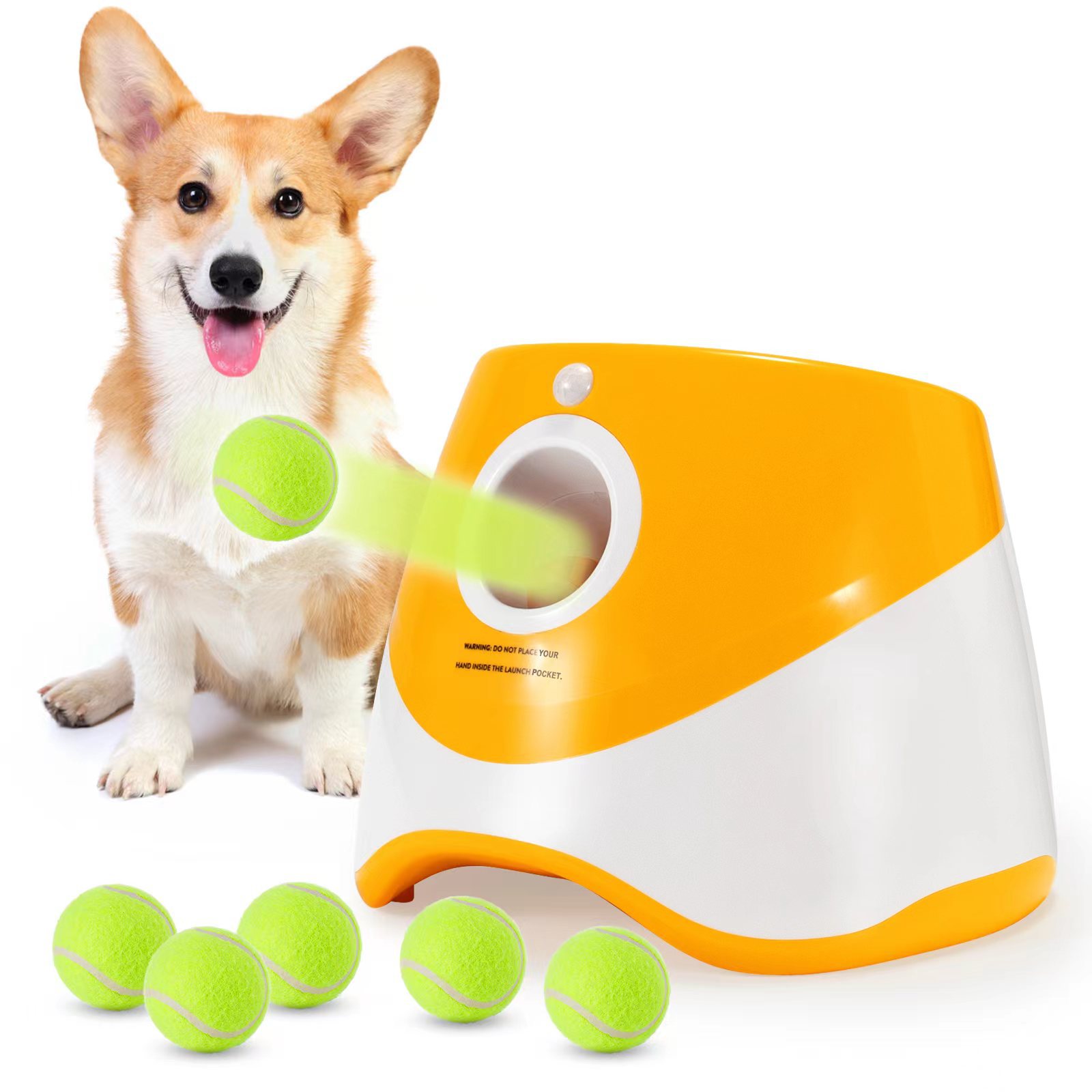 Sports Equipment For Tennis - STLFWholesale في الهواء الطلق الحيوانات الأليفة