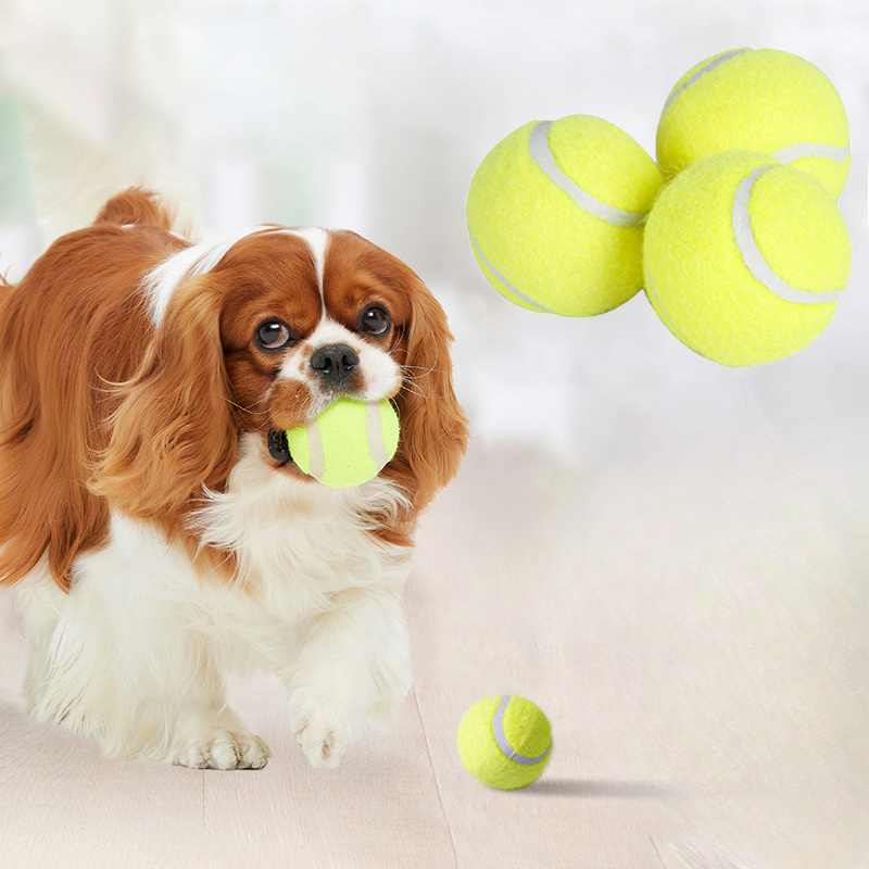 لعبة تنس تفاعلية مخططة من المط - مراجعة Sports Equipment For Tennis وسعره